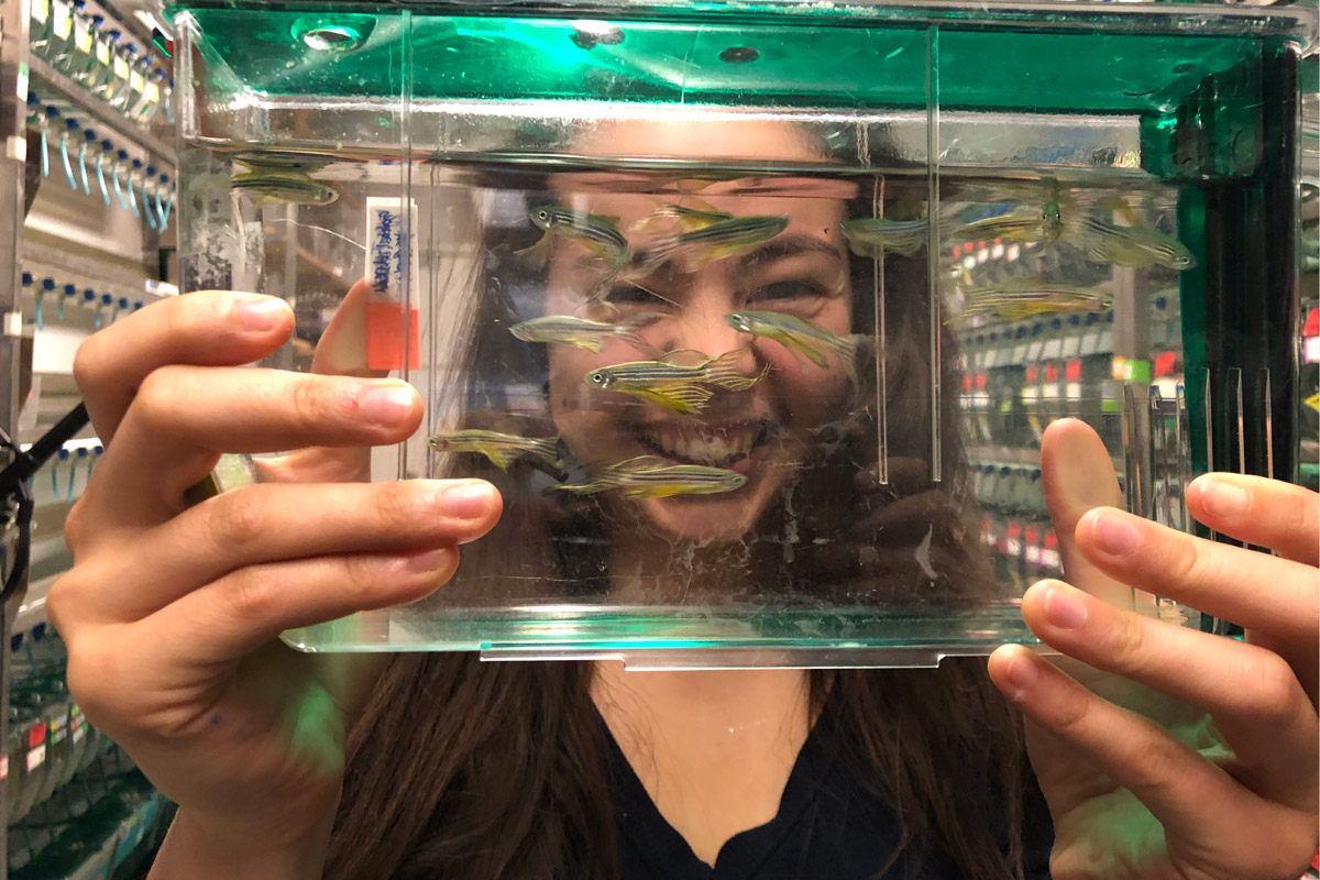 Stephanie Gee &amp;#8217;20 wrote her senior thesis on her study of the effects of radiation on the brain development of zebrafish.