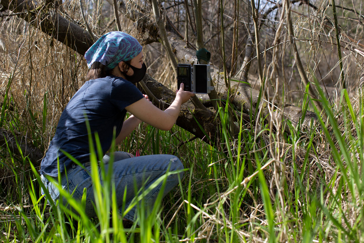 Aislin Steill &amp;#8217;21 checks the batteries and replaces the storage disk in a wildlife camera.