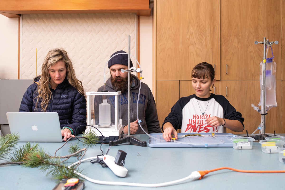 Post-doc researcher Hannah Prather, Prof. Aaron Ramirez [biology], and Ariel Patterson &amp;#8217;20 examine the factors that help trees survive forest fires, parasites, and drought.