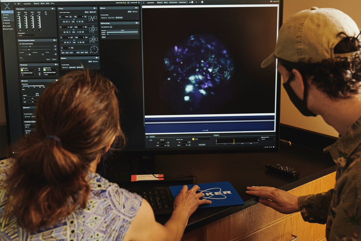 two students examining a time lapse image of living cells on a computer