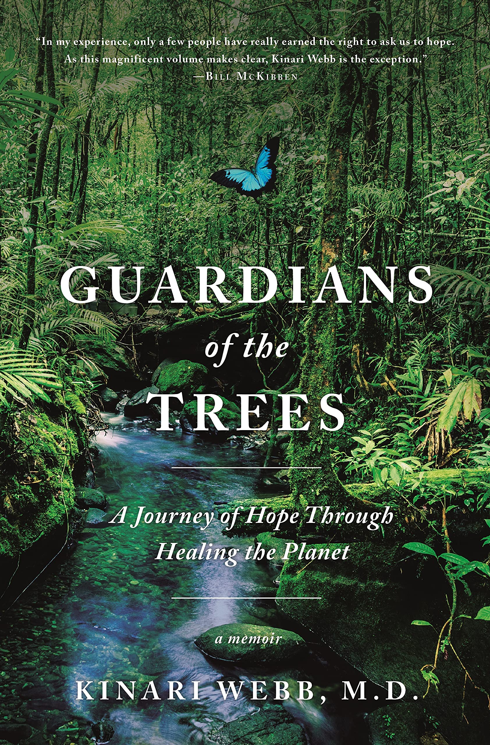 Book cover with rainforest and stream
