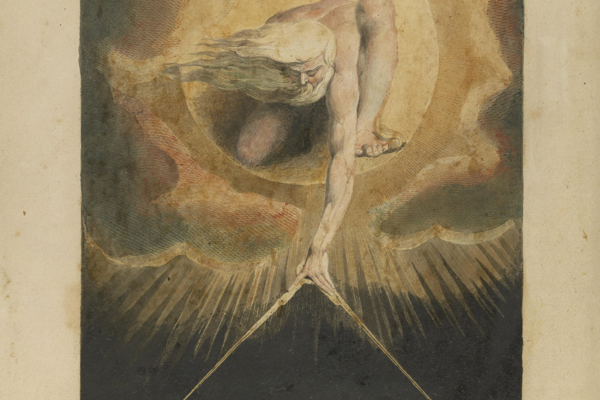 An Immense World of Delight 