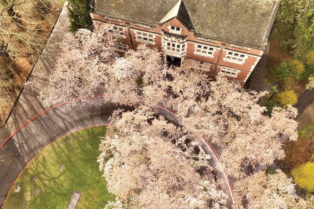 Spring Will Come Again