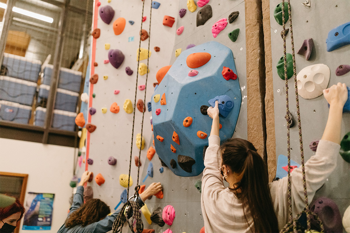 The Reed Roadmap: Enrichment Guide