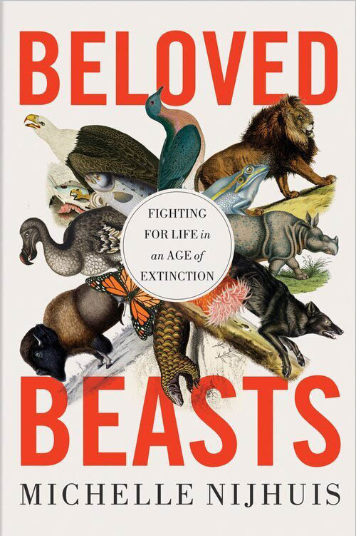 Book cover for Beloved Beasts