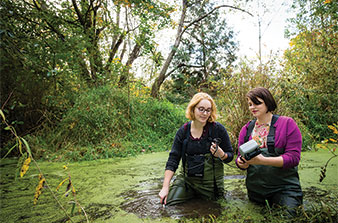 Bio major Rachel Fox ’15 and environmental science-bio major Claire Brumbaugh-Smith ’15 wade into the Canyon to see how dissolved oxygen affects the habitat of frogs and other amphibians. Their project was supported by the Milton L. Fischer ’86 Memorial Fellowship.