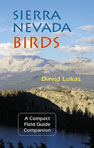 Sierra Nevada Birds