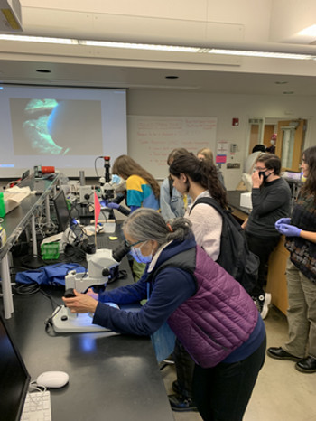 Community members taking a lab tour.