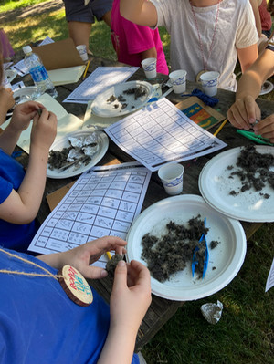 Camp students dissect owl pellets.