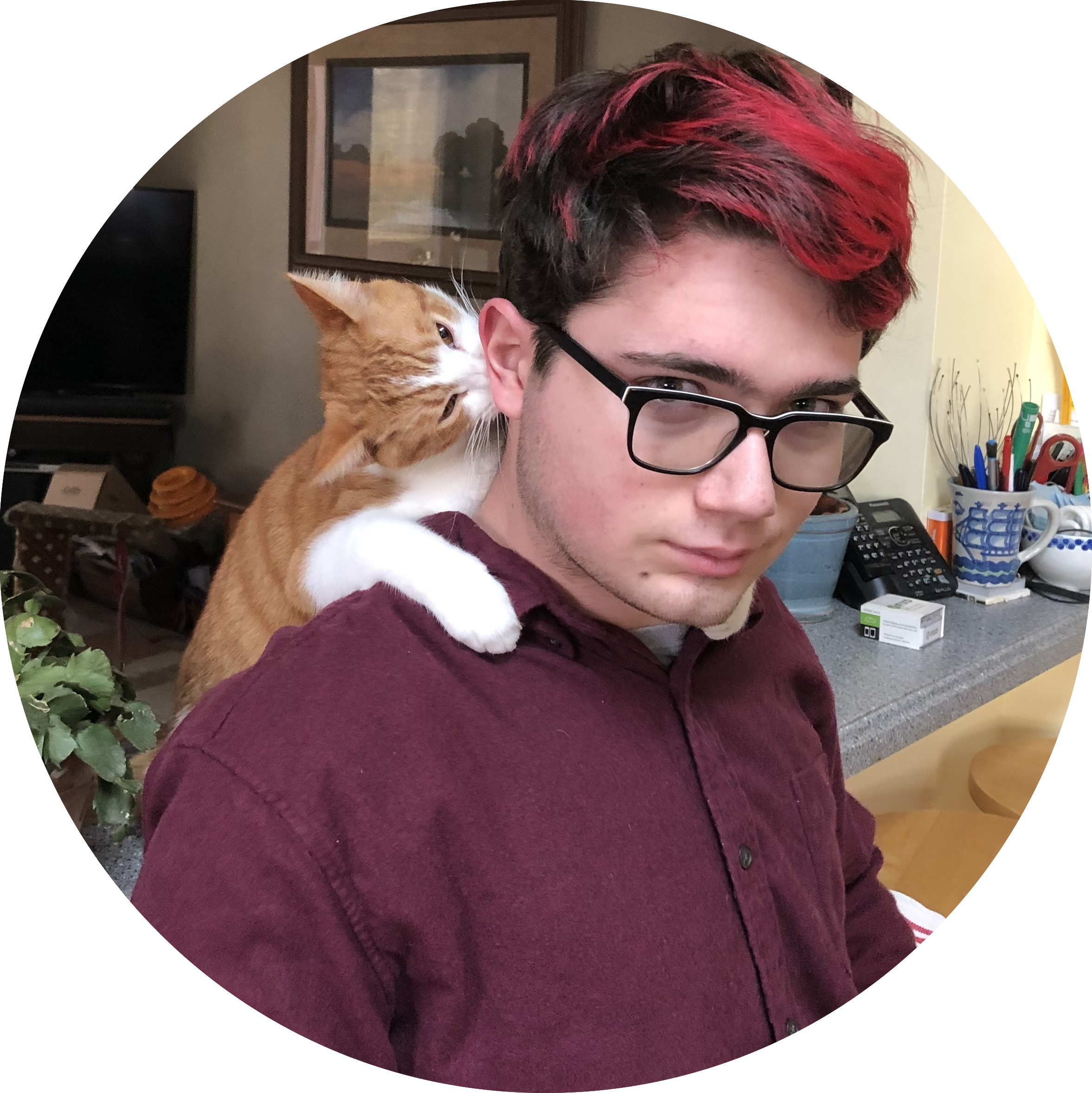 A light skinned masc presenting person with red hair and glasses; a cat is standing behind him with its paws on his shoulders, biting his head.