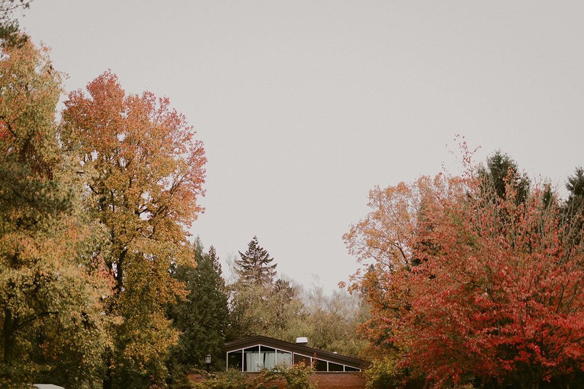 Trees with autumn leaves surrounding a residence hall on Reed College's campus.